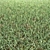 6-in-1 Scattering Grass Solution 3D model small image 1