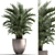 Exotic Indoor Plant Collection with Palm - Kentia & Howea Forsteriana 3D model small image 1
