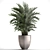 Exotic Indoor Plant Collection with Palm - Kentia & Howea Forsteriana 3D model small image 3