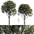 Urban Flora V6 - Detailed Model Trees 3D model small image 1