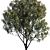 Urban Flora V6 - Detailed Model Trees 3D model small image 2