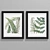 Vintage Botanical Art Prints 3D model small image 2