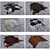 13 Animal Skin Carpets: Vray, Corona, FBX 3D model small image 3