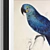 Contemporary Parrot Art Collection 3D model small image 1
