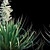 Glorious Yucca: 3 Variations 3D model small image 2
