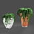 Green Oasis: Ivy in Pots 3D model small image 1