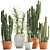 Exotic Cactus Collection: 302 Varieties 3D model small image 1