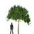 Premium Pine Timber | High-Quality Pinus Sylvestris 3D model small image 2