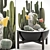 Title: Exotic Plant Collection: Cactus Set 3D model small image 1