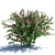 Flowering Weigela Bush Trio | Weigela Florida 3D model small image 3
