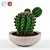 Stone Pot Cactus 3D model small image 1