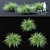 Sedge Morrova | Carex Ice Dance Grass 3D model small image 1