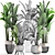 Exotic Plant Collection: Banana Palm & Ravenala 3D model small image 3