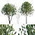 Vertex Colored Garden Tree 3D model small image 1