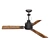 Cool Breeze Ceiling Fan 3D model small image 1