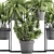 Exotic Plant Collection: Nephrolepis, Fern, Dracaena, Curculigo 3D model small image 2