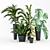 Exotic Houseplant Collection 3D model small image 1