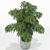 Lush Greenery Collection: 156 Varieties 3D model small image 2