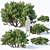 Mugo Pine Collection: 60-260cm 3D model small image 1