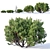 Mugo Pine Collection: 60-260cm 3D model small image 2