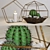 Mini Glass Terrariums with Cacti & Candle 3D model small image 3