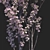 Amanogawa Ornamental Cherry Tree 3D model small image 2