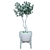 Elegant Ficus Benjamina: Indoor Bliss 3D model small image 2