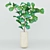Exotic Leafy Beauties 3D model small image 1