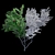 Sumac Deer Horn Bush | Rhus typhina 3D model small image 2