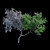 Sumac Deer Horn Bush | Rhus typhina 3D model small image 3