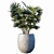 Lush Greenery: 3-Piece Plant Set 3D model small image 2