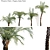 Tropical Paradise: Phoenix & Pygmy Palm 3D model small image 1