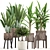 Exquisite Indoor Plant Collection 3D model small image 1