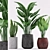 Colorful Indoor Plants Set 3D model small image 1