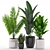 Exotic Indoor Plant Collection 3D model small image 2