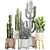 Exotic Plant Collection: Euphorbia, Cereus, Aloe 3D model small image 3