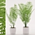 Tropical Palm Plant in Ceramic Pot 3D model small image 1