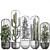Exotic Indoor Plant Collection 3D model small image 3
