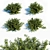 Lush Greenscape Set: 4 Vibrant Shrubs 3D model small image 1