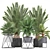 Exotic Indoor Plant Collection 3D model small image 1