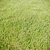 Lush Landscaping Grass: High Quality, Realistic & Detailed 3D model small image 2