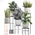 Exotic Houseplant Collection 3D model small image 3