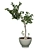 Potted Tree: A Touch of Nature 3D model small image 1