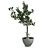 Potted Tree: A Touch of Nature 3D model small image 2