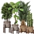 Exotic Plant Collection: Ficus Lyrata, Raphis Palm, Cactus 3D model small image 1