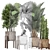 Exotic Plant Collection: Ficus Lyrata, Raphis Palm, Cactus 3D model small image 3