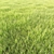 Lush Green Arch Grass: High-quality, Realistic Exterior Rendering Solution 3D model small image 2