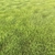 Lush Green Arch Grass: High-quality, Realistic Exterior Rendering Solution 3D model small image 3