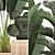 Exotic Plant Collection: Cacti, Palm & Grass 3D model small image 2