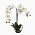 Elegant Silk White Orchid 3D model small image 1